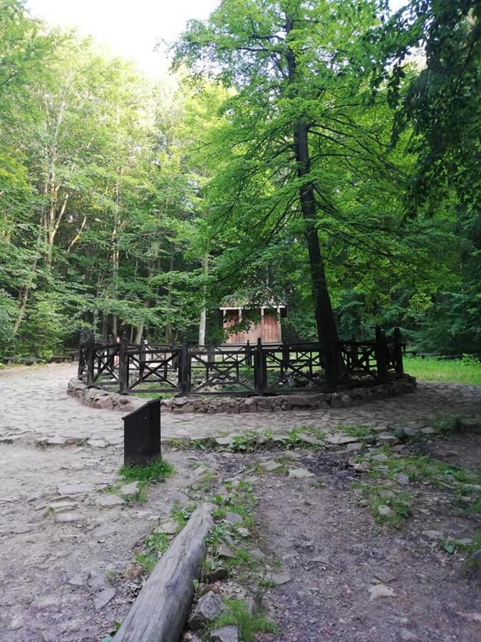 Ferienwohnung Agroturystka Na Polanie Swieta Katarzyna  Exterior foto
