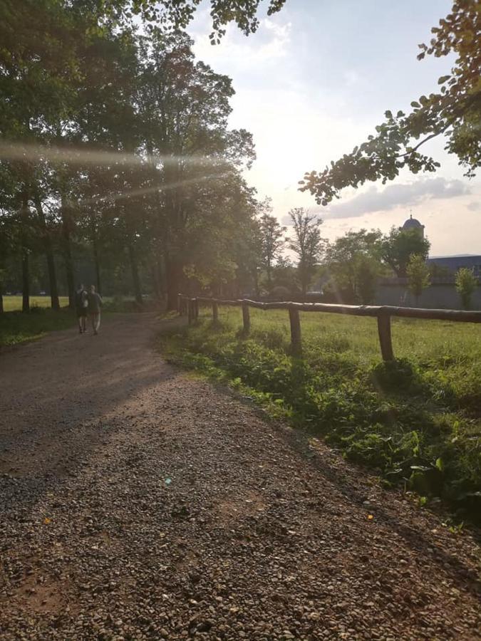 Ferienwohnung Agroturystka Na Polanie Swieta Katarzyna  Exterior foto